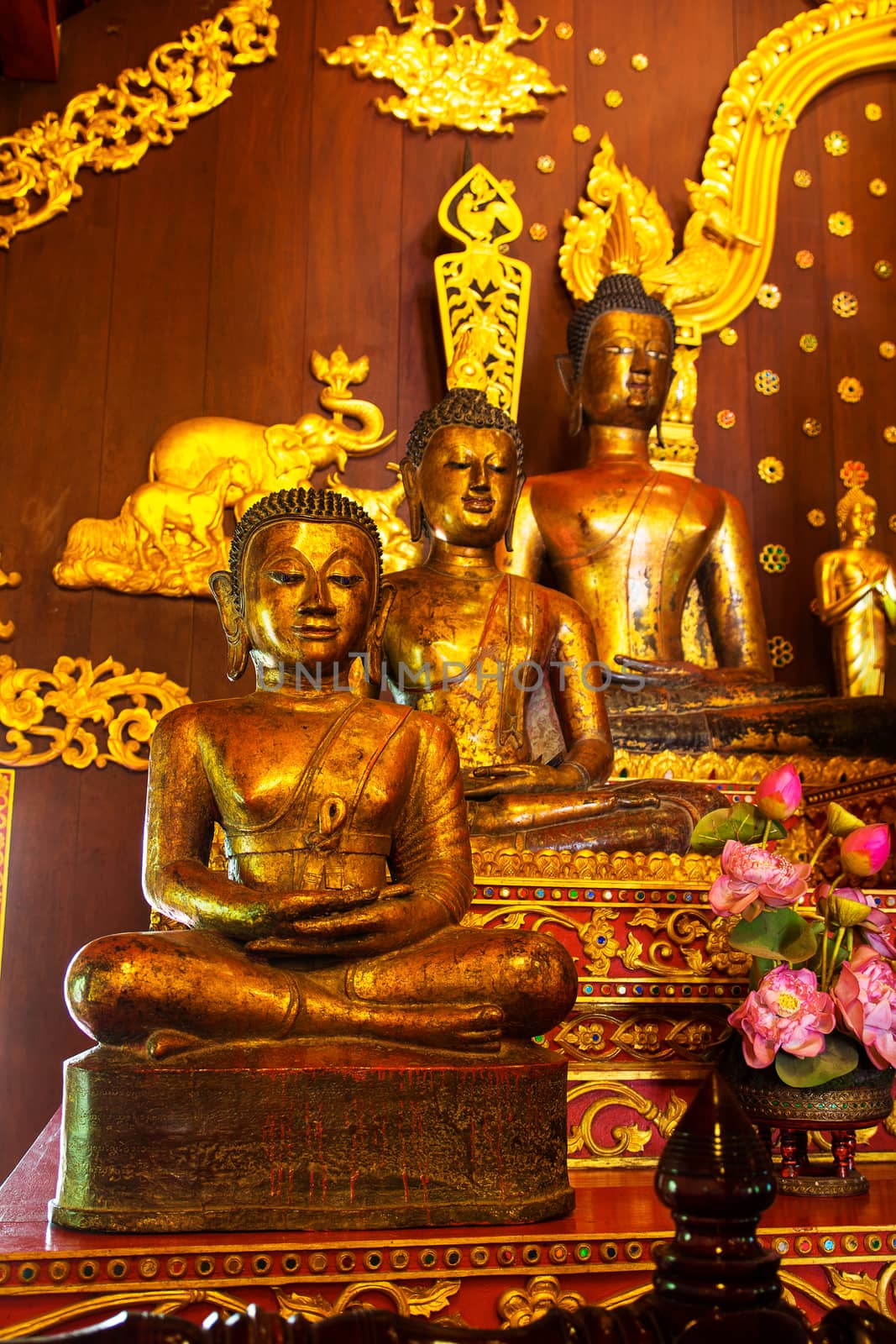 three Golden Buddhas by ibahoh