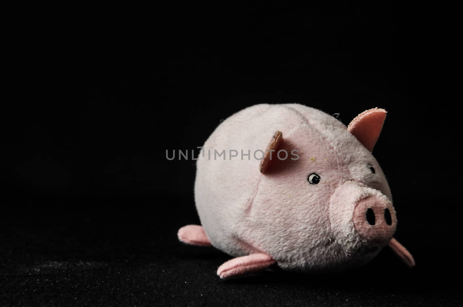 Cute pink pig animal character on a Black Background