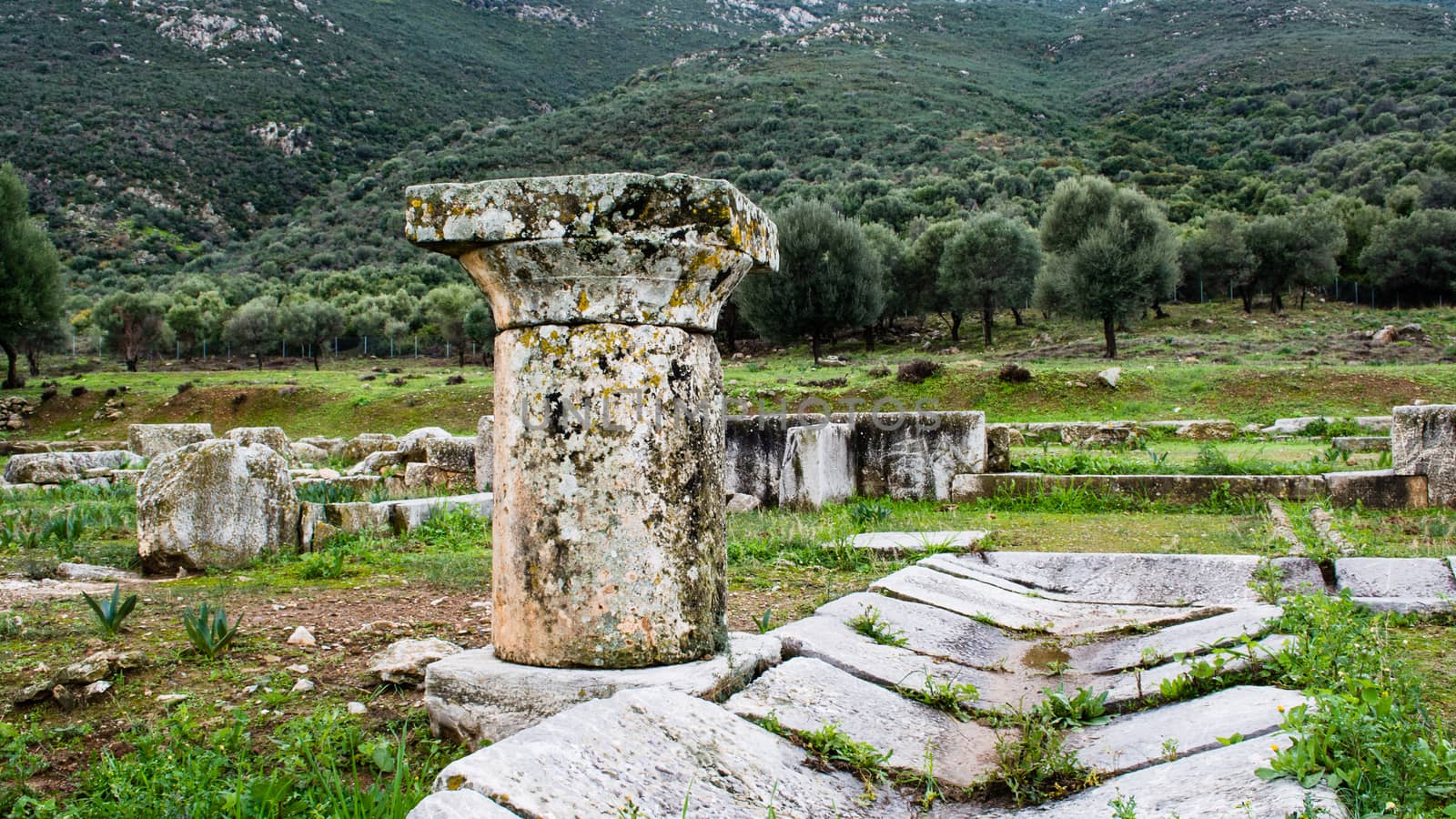 Pillar ruins at Ancient Troizina , Peloponnese, Greece