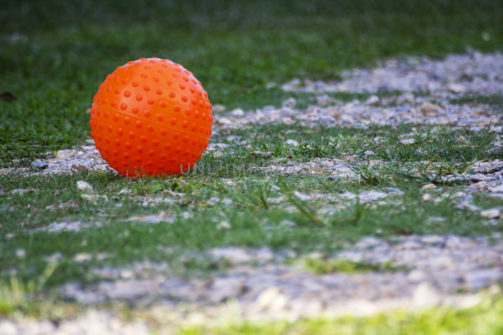 Orange ball on ground