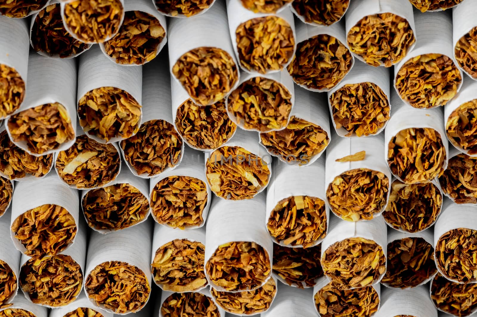 Close-up of Tobacco Cigarettes Background or texture
