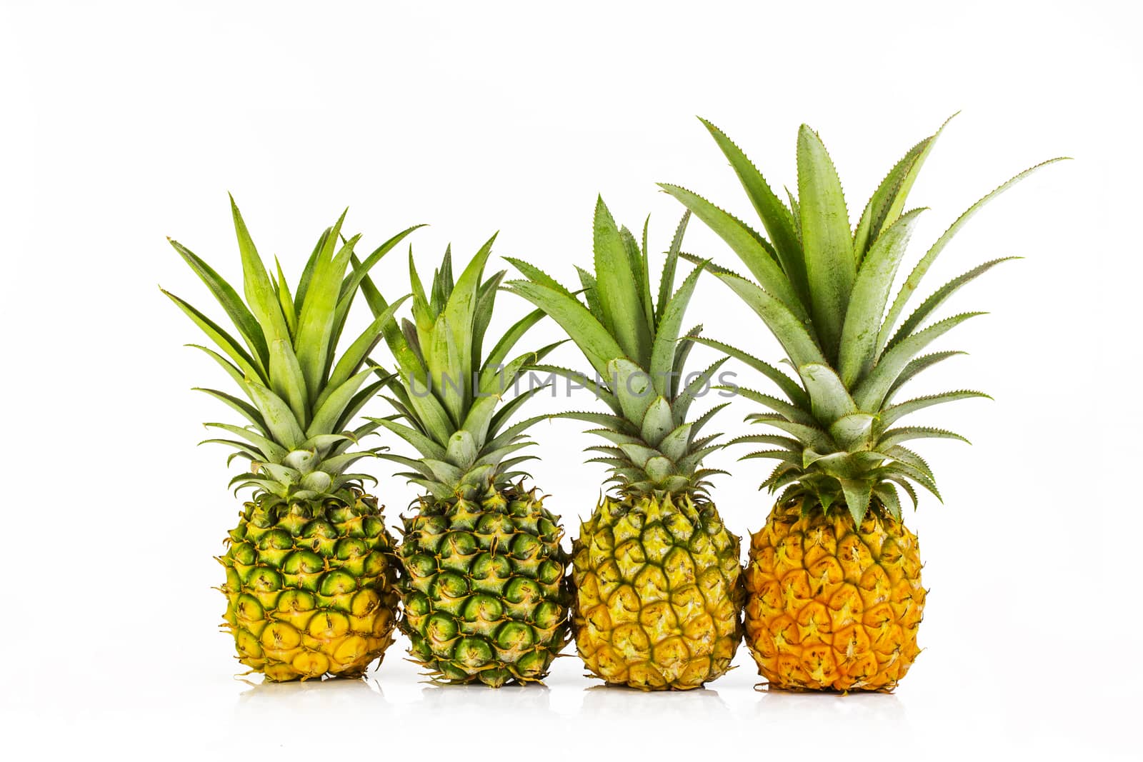 four pineapple close up, on white background, isolated by ibahoh