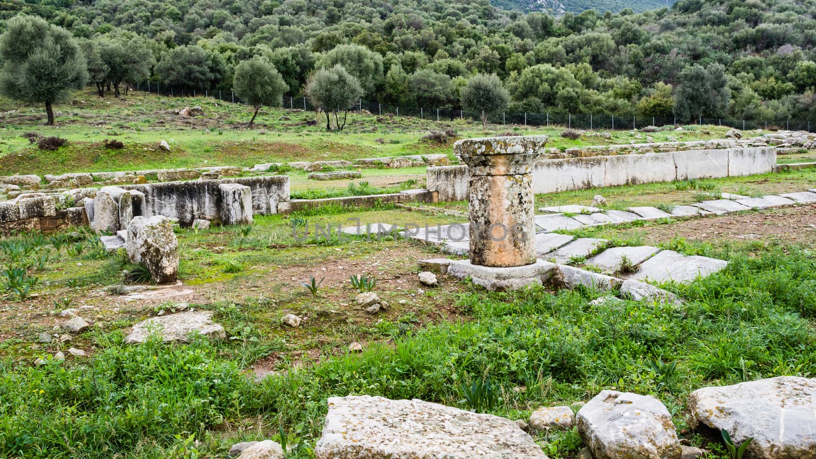 Pillar ruins at Ancient Troizina , Peloponnese, Greece