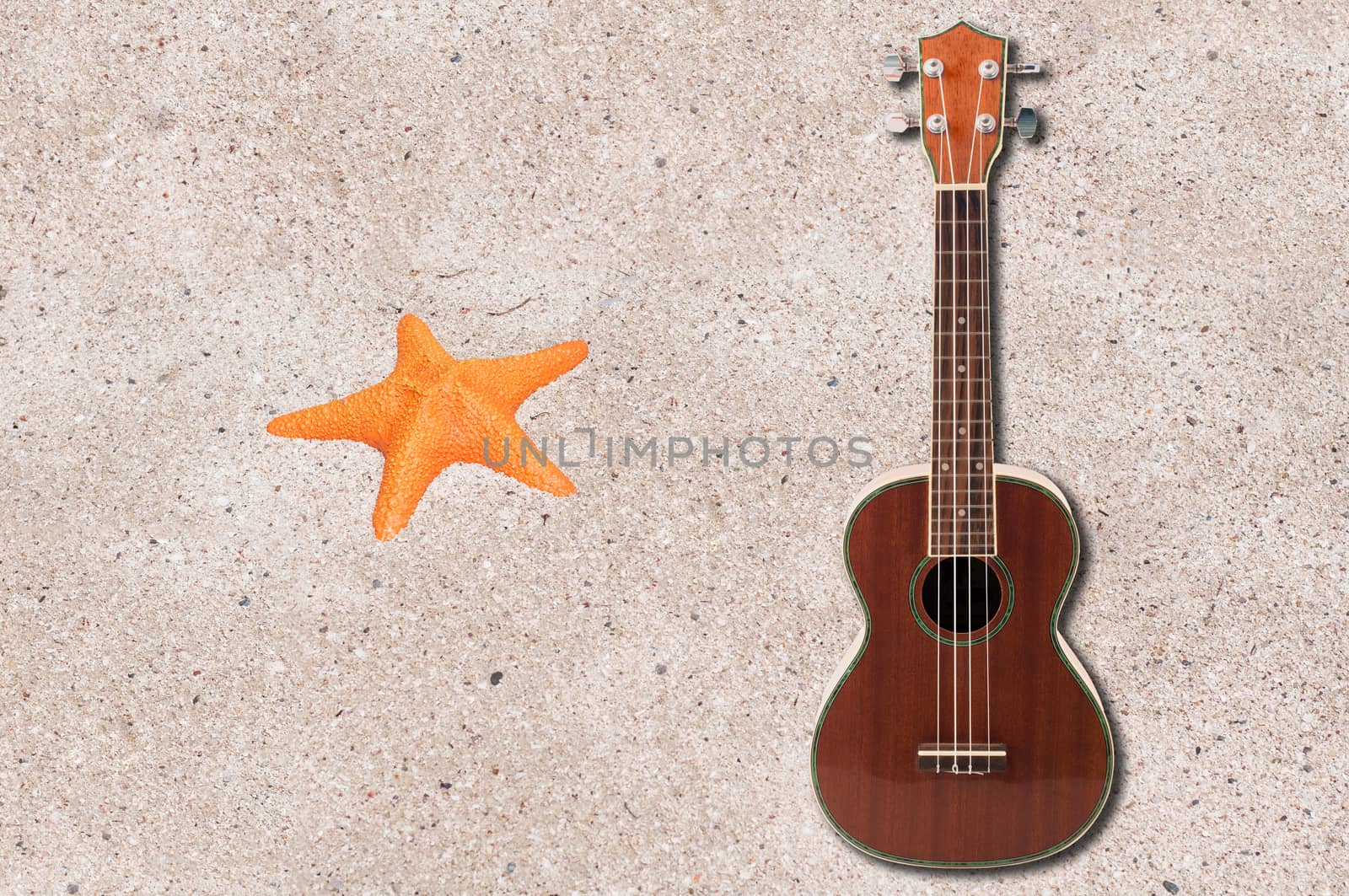 ukulele and sea star by Sorapop