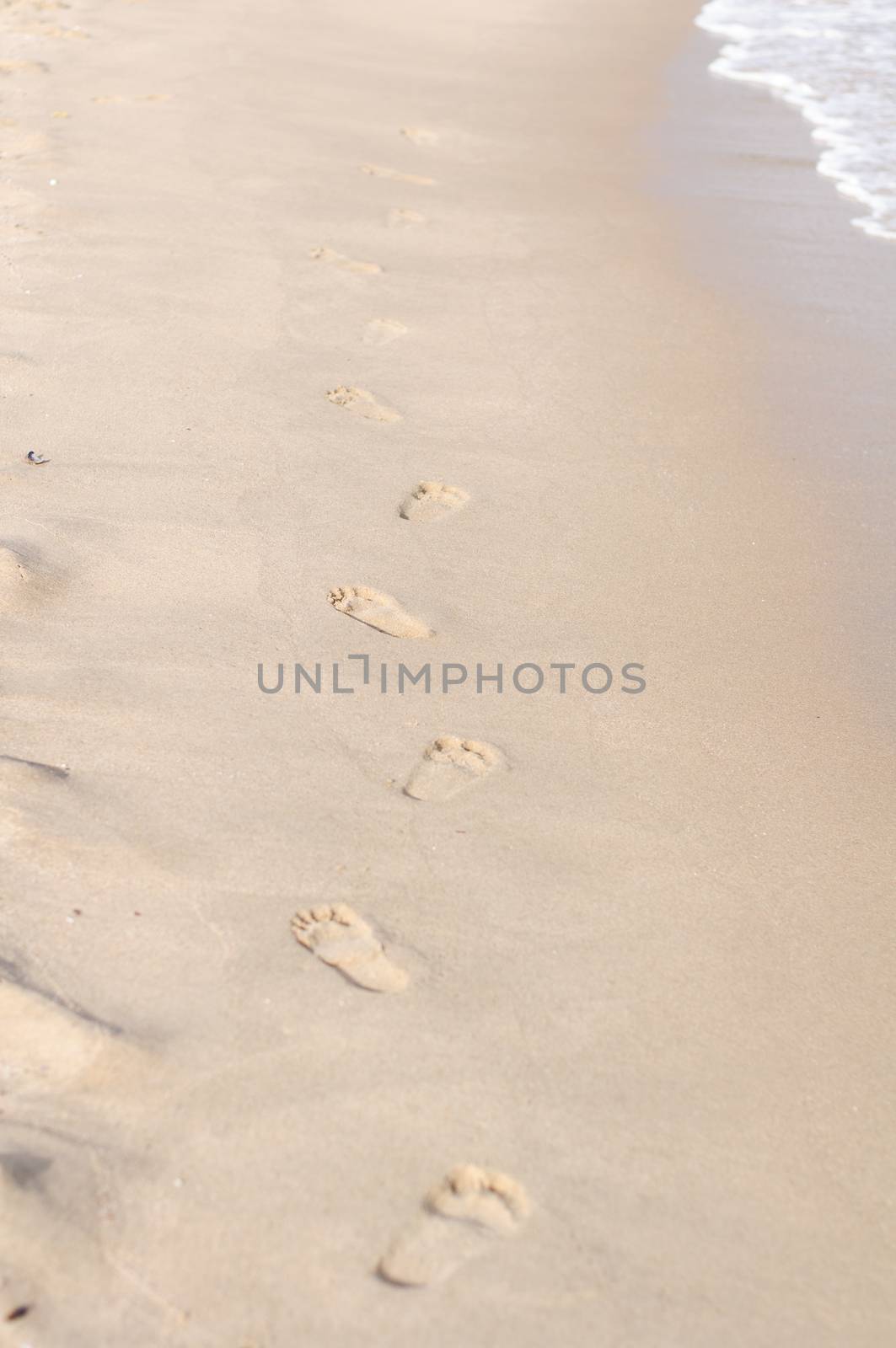 Footprints in wet sand of the beach