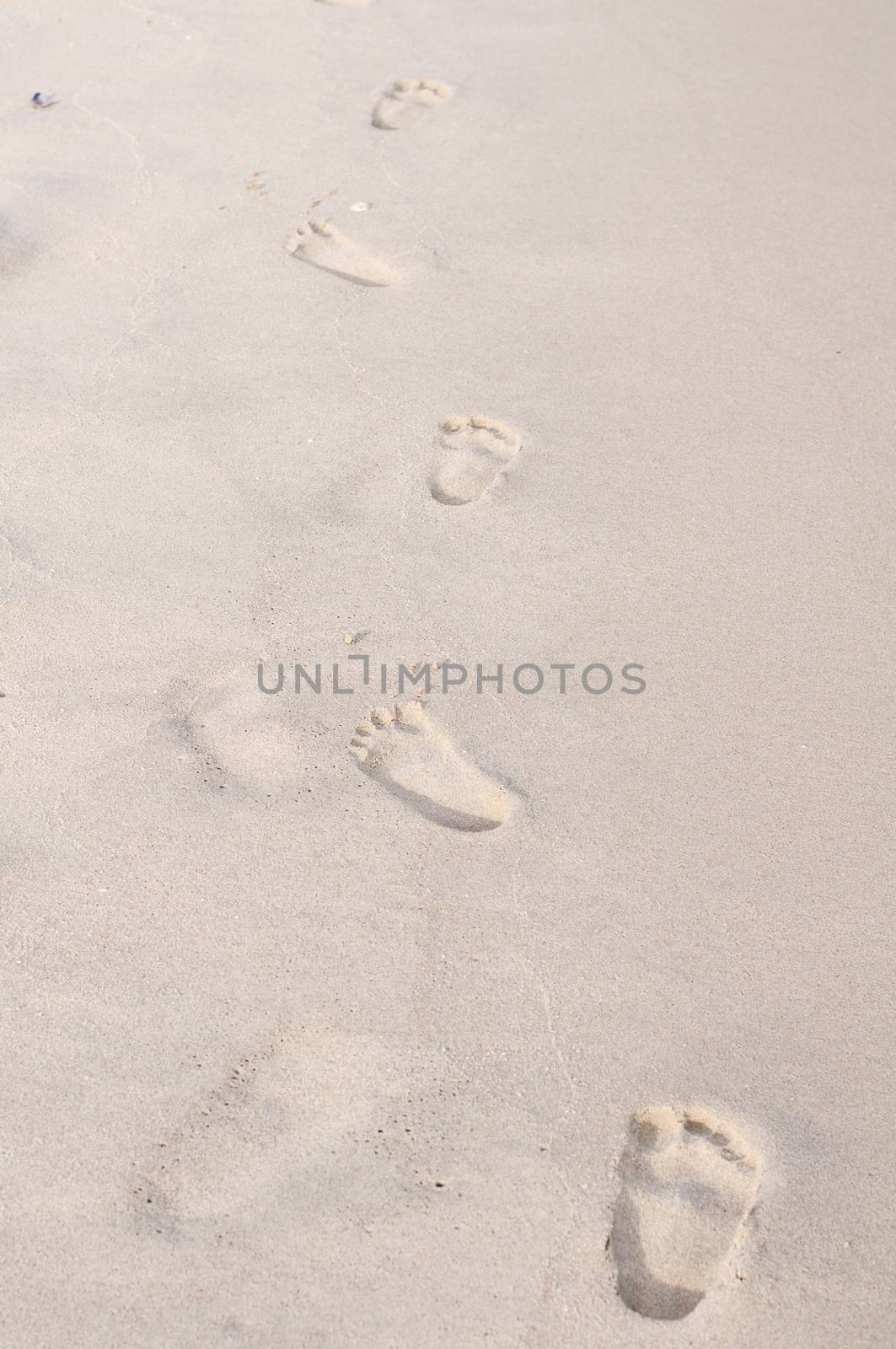 Footprints in wet sand of the beach