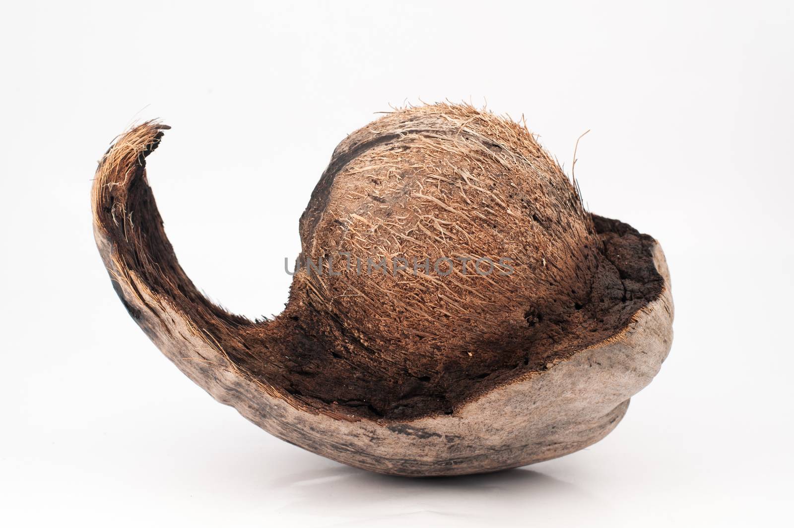 The burned coconut strange to see ������on white background