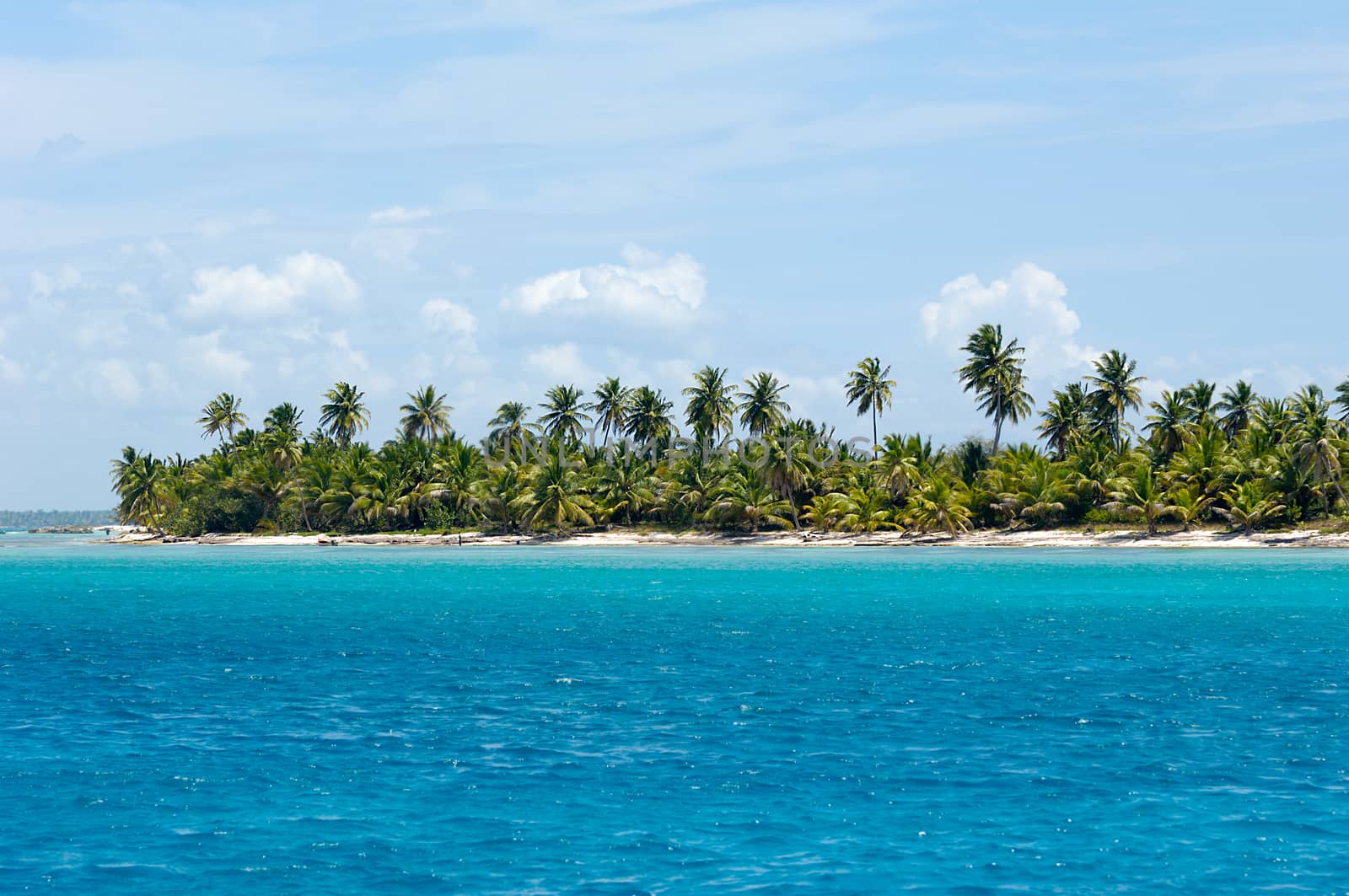 Empty Caribbean island with a nice beach and green palms. The picture of the beach is taken from a boat on sea.