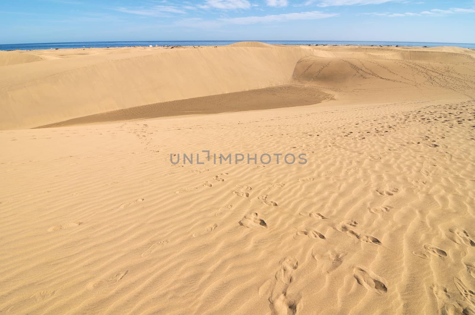 Texture Sand Dune Desert in Gran Canaria Island Spain