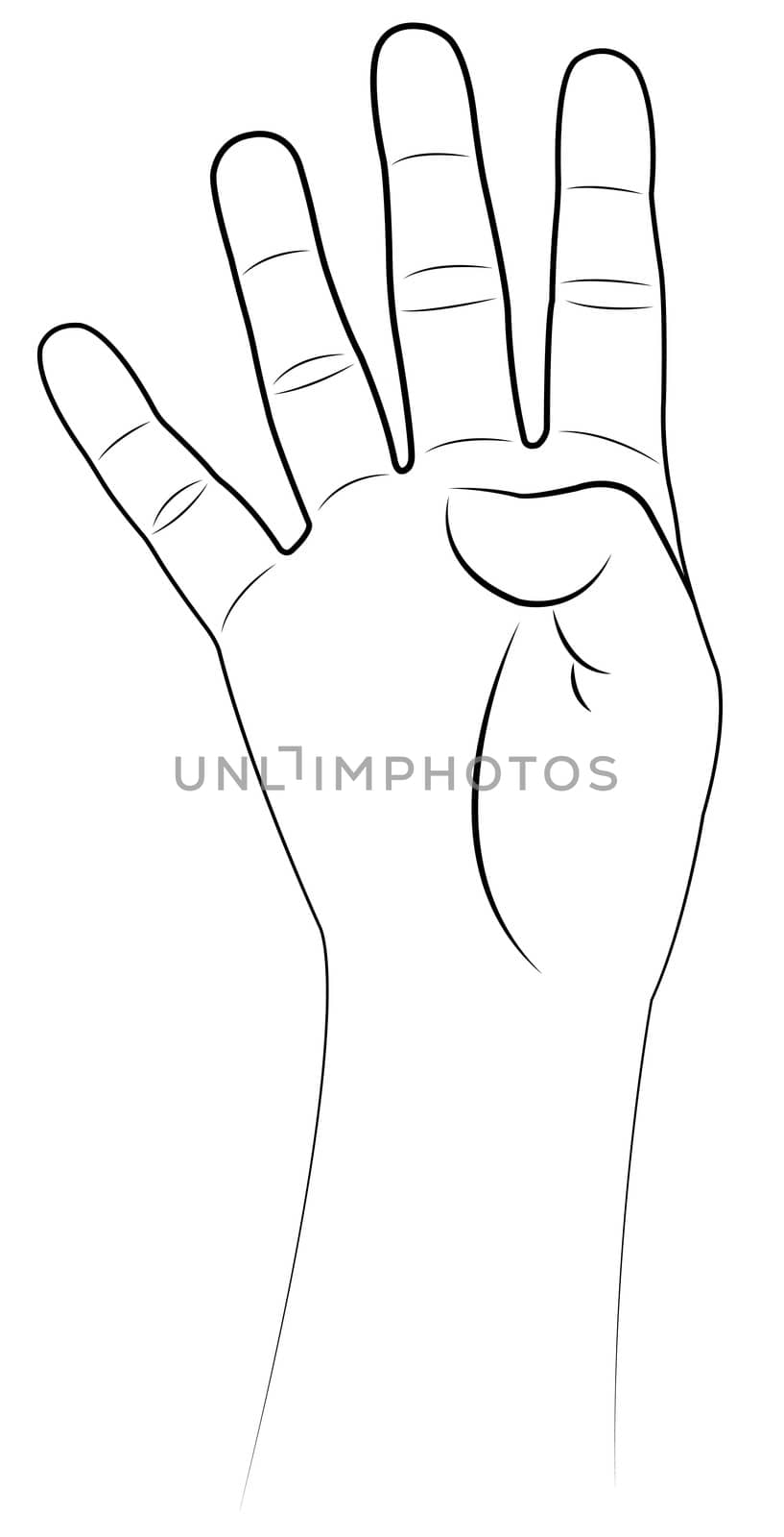 four fingers up, hand vector