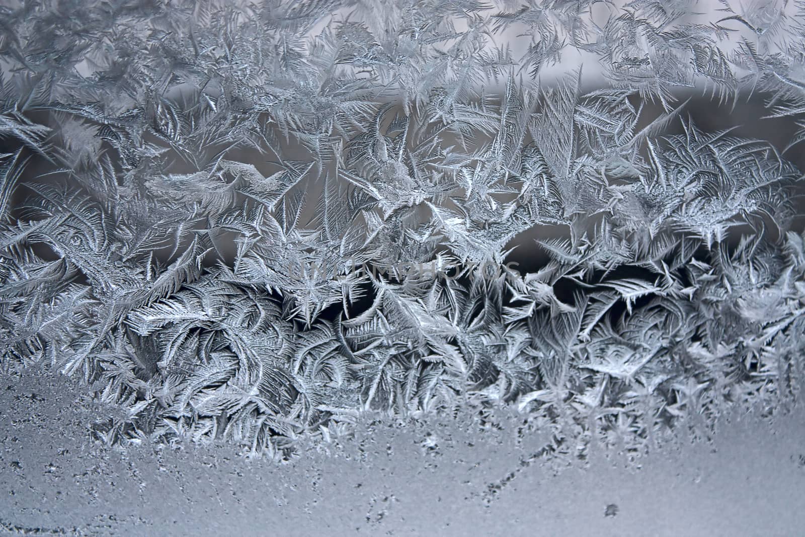 frost on window by zhannaprokopeva