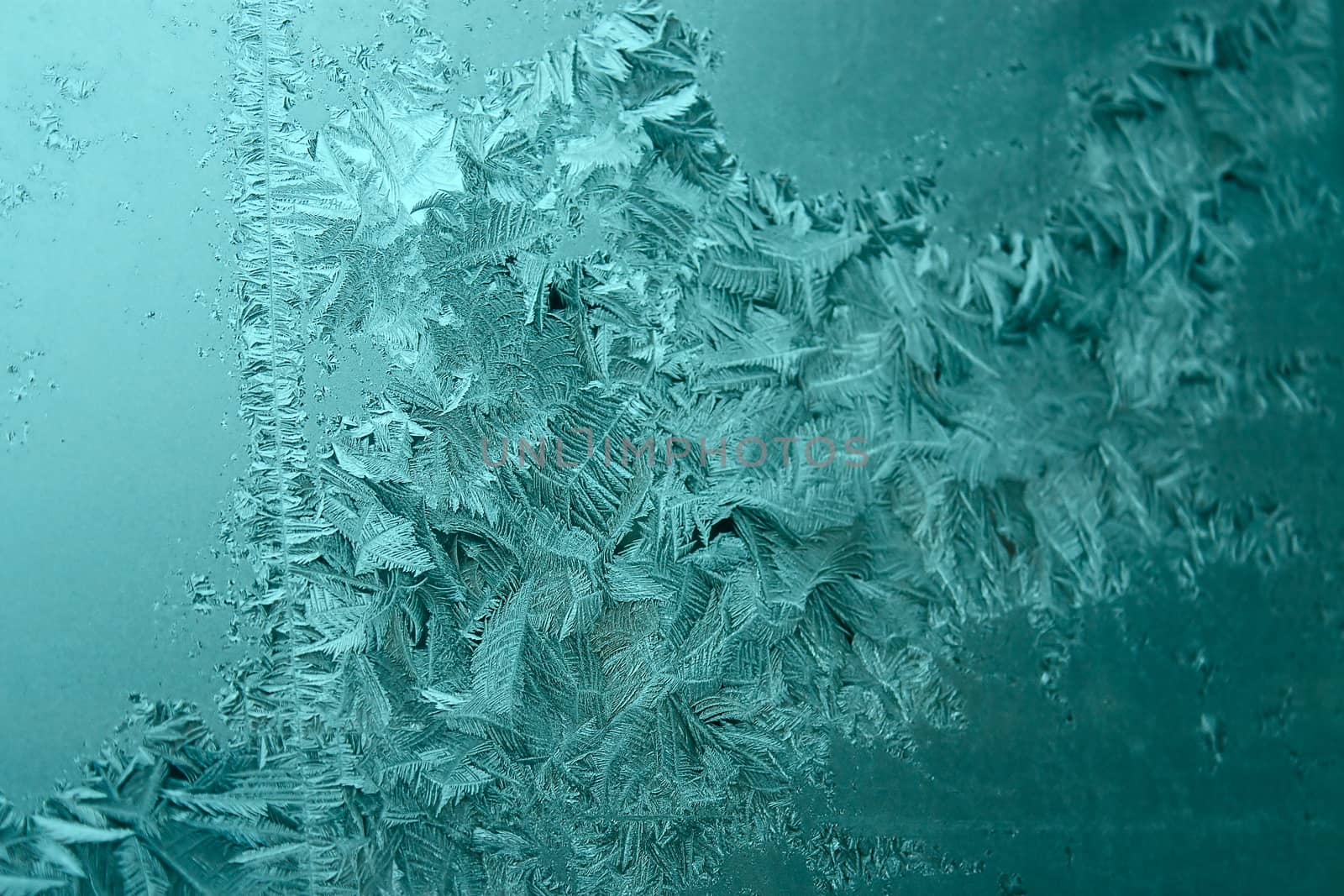 frost on window by zhannaprokopeva