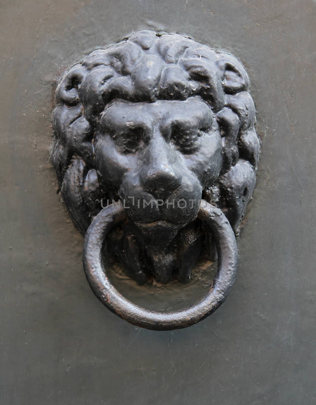 Medieval door knocker black metal lion head.