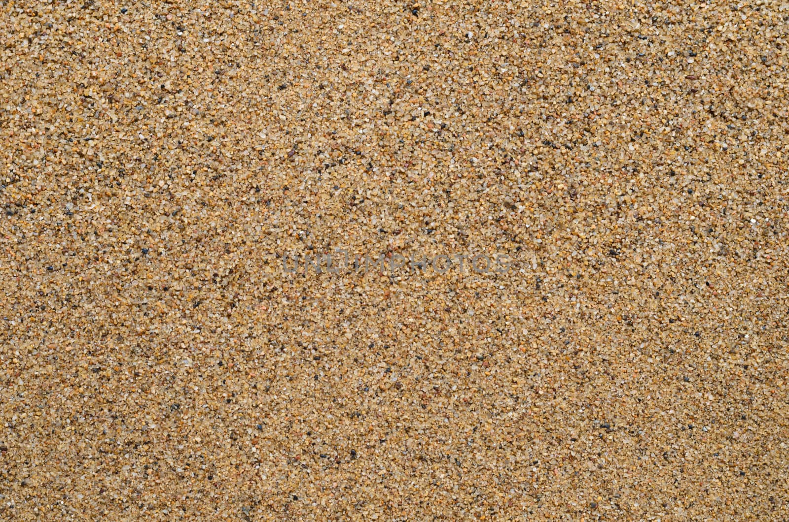 texture of sand background