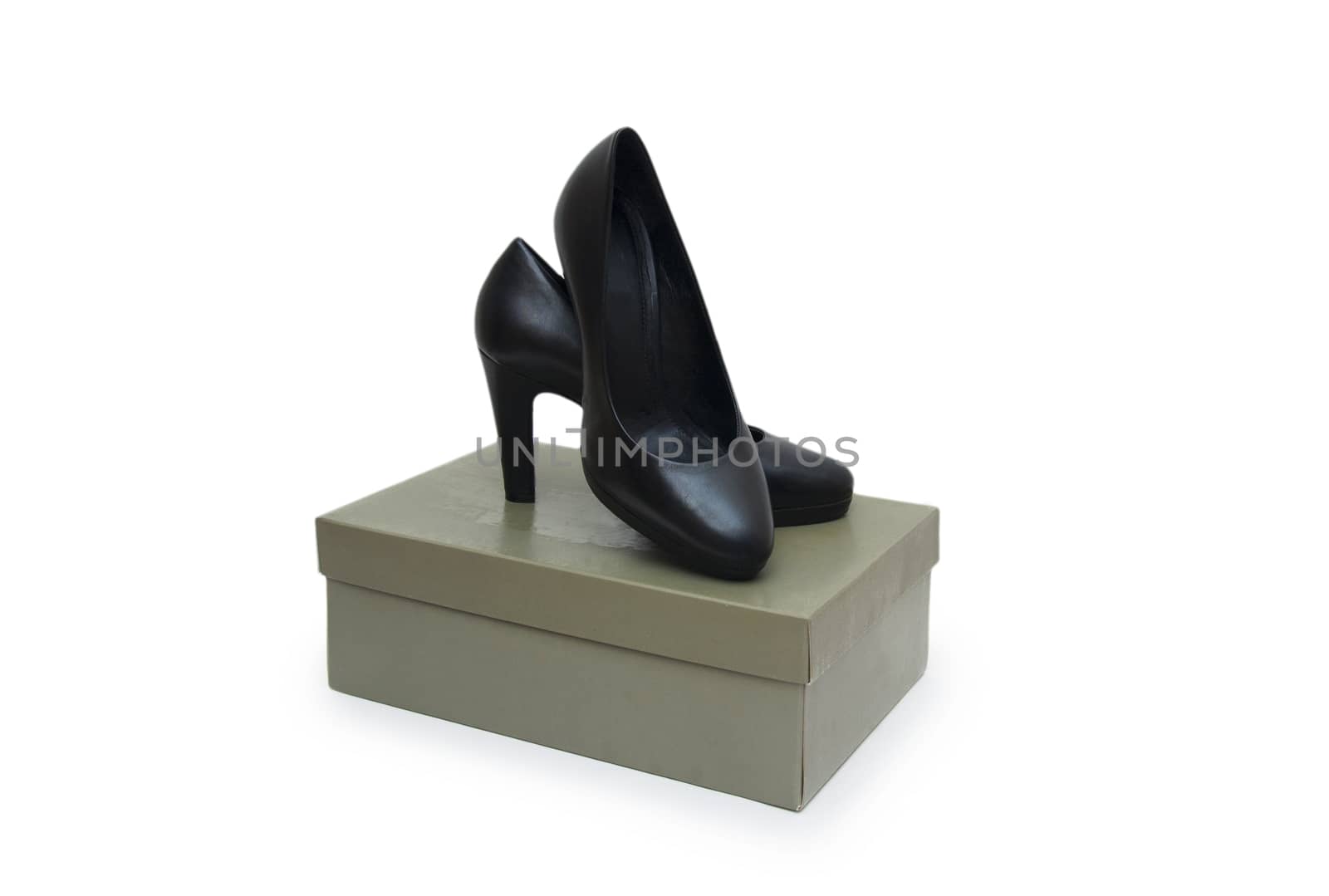 female shoes on a white background