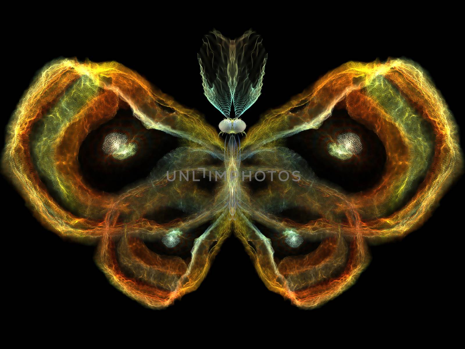 Never Were Butterflies series. Composition of isolated butterfly patterns with metaphorical relationship to science, imagination, creativity and design