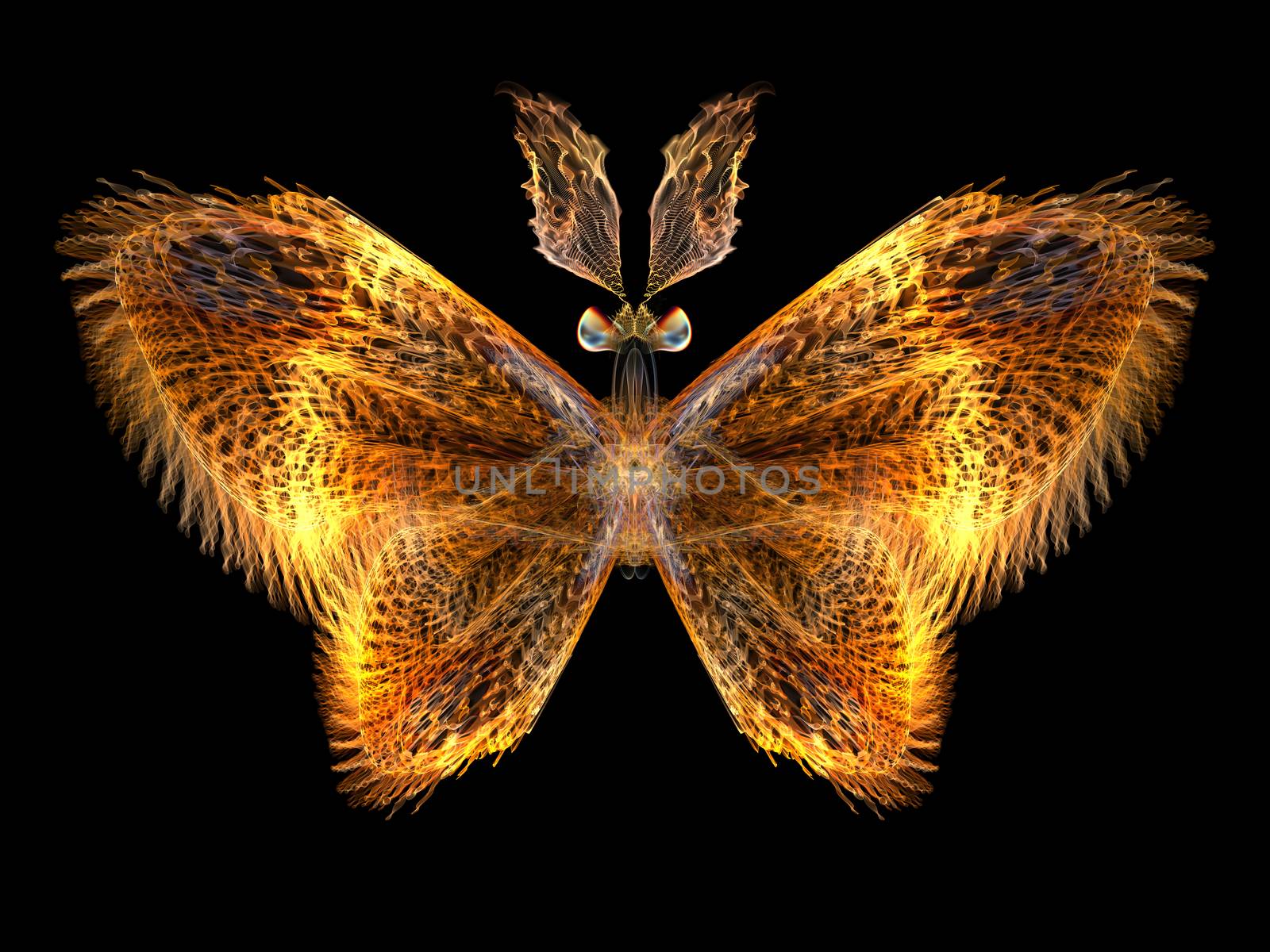 Fractal Butterfly by agsandrew