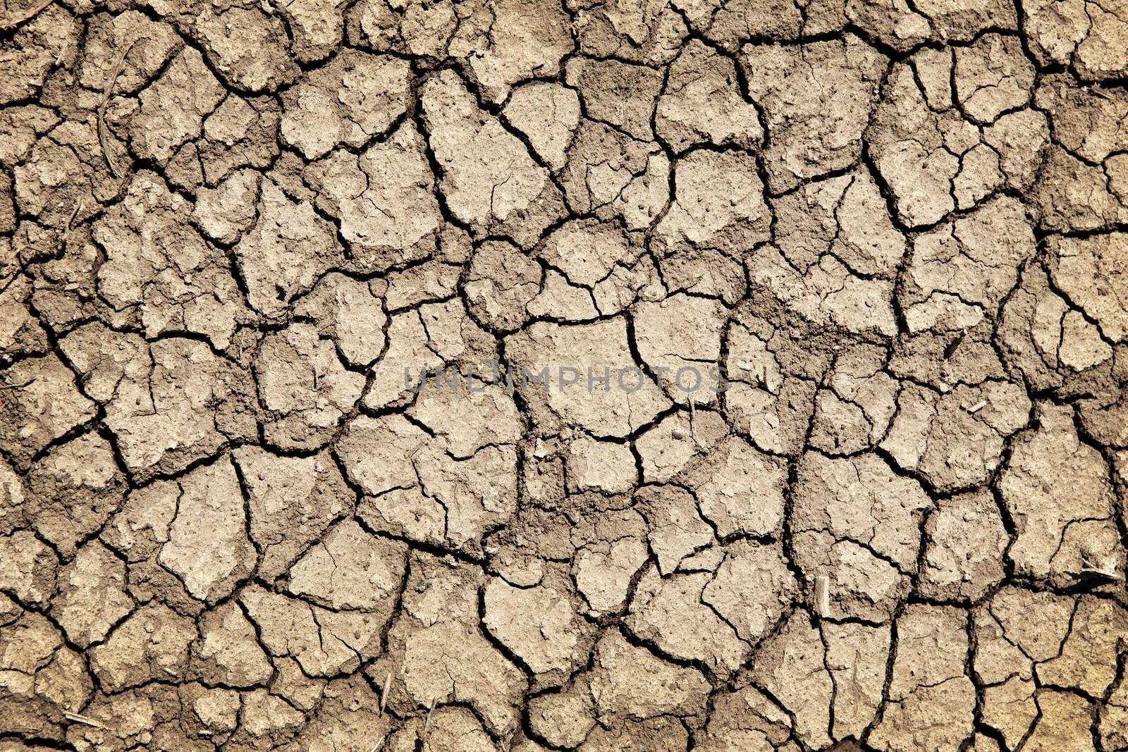 Dry cracked ground during drought by elenathewise