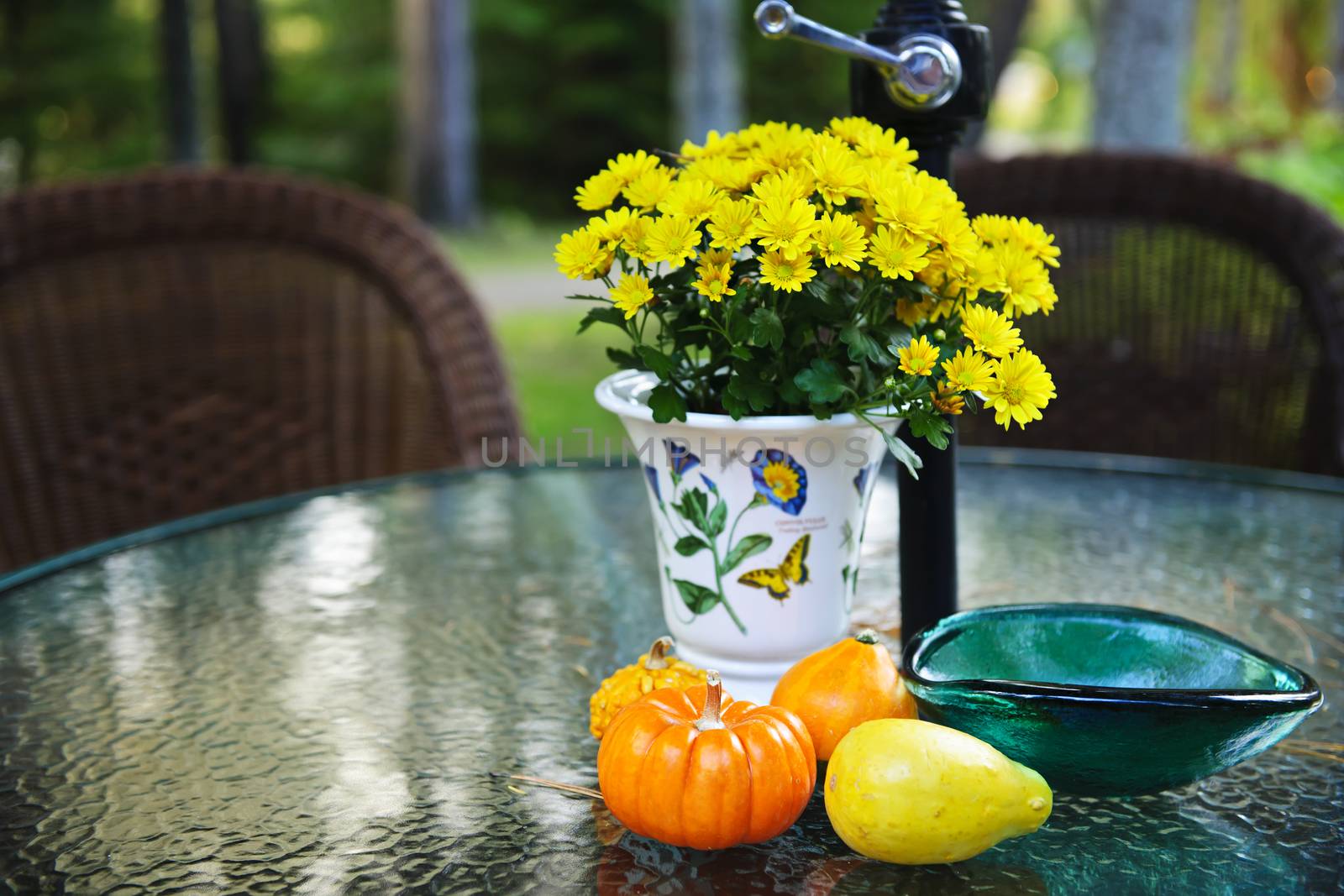 Fall table with gourds and flowers by elenathewise