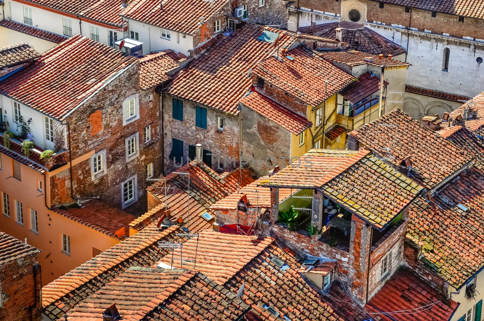 Detail view of traditional Italian town roofs and houses, Lucca, Italy