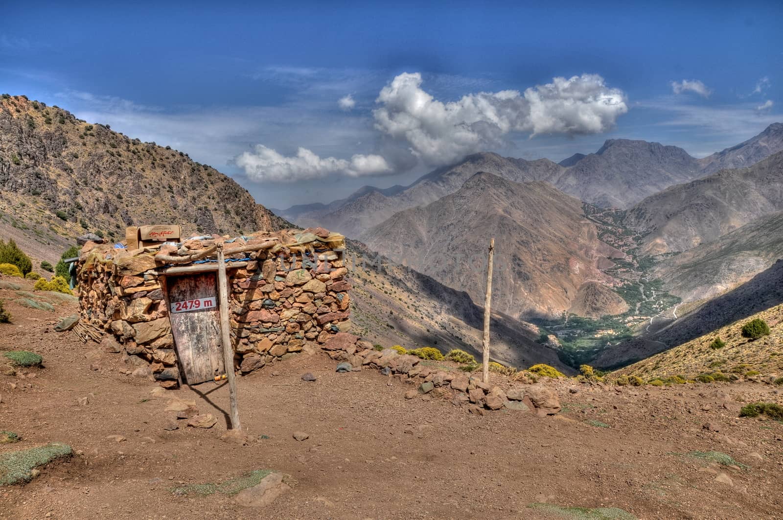 Goats graze on the hill at 2479m high