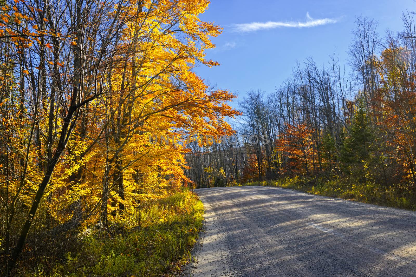 Gravel road through colorful fall forest in Ontario, Canada