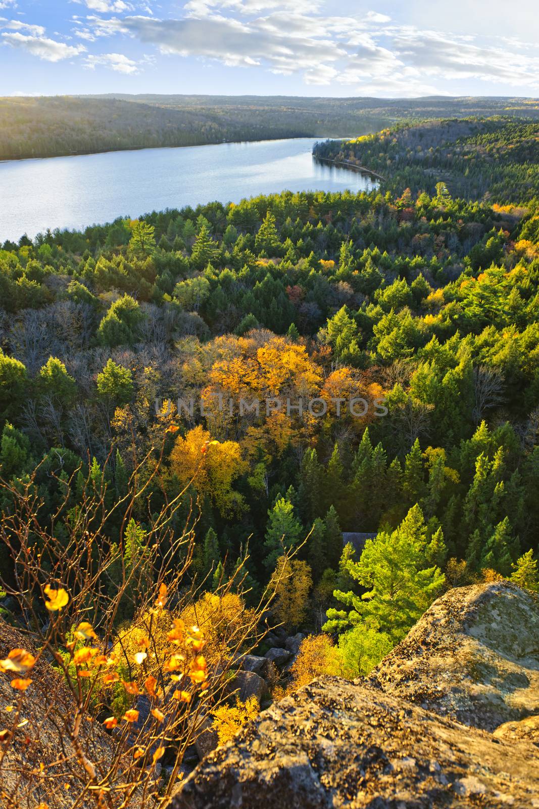 Fall forest and lake top view by elenathewise