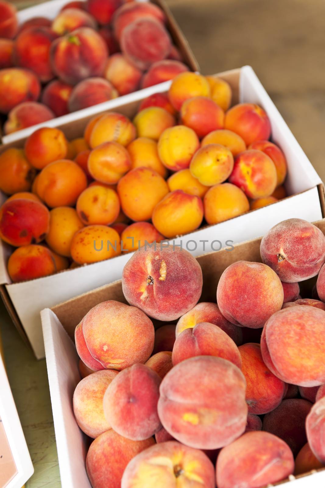 Fresh peaches and apricots fruits for sale on farmers market
