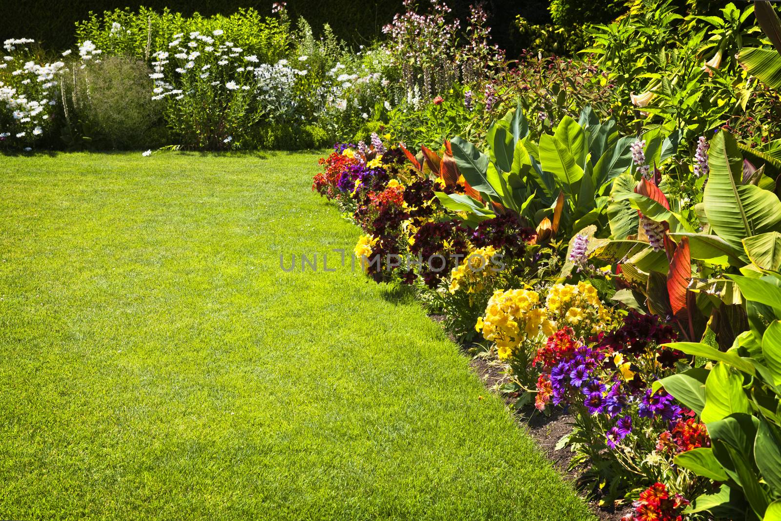 Beautiful colorful flower garden with various flowers