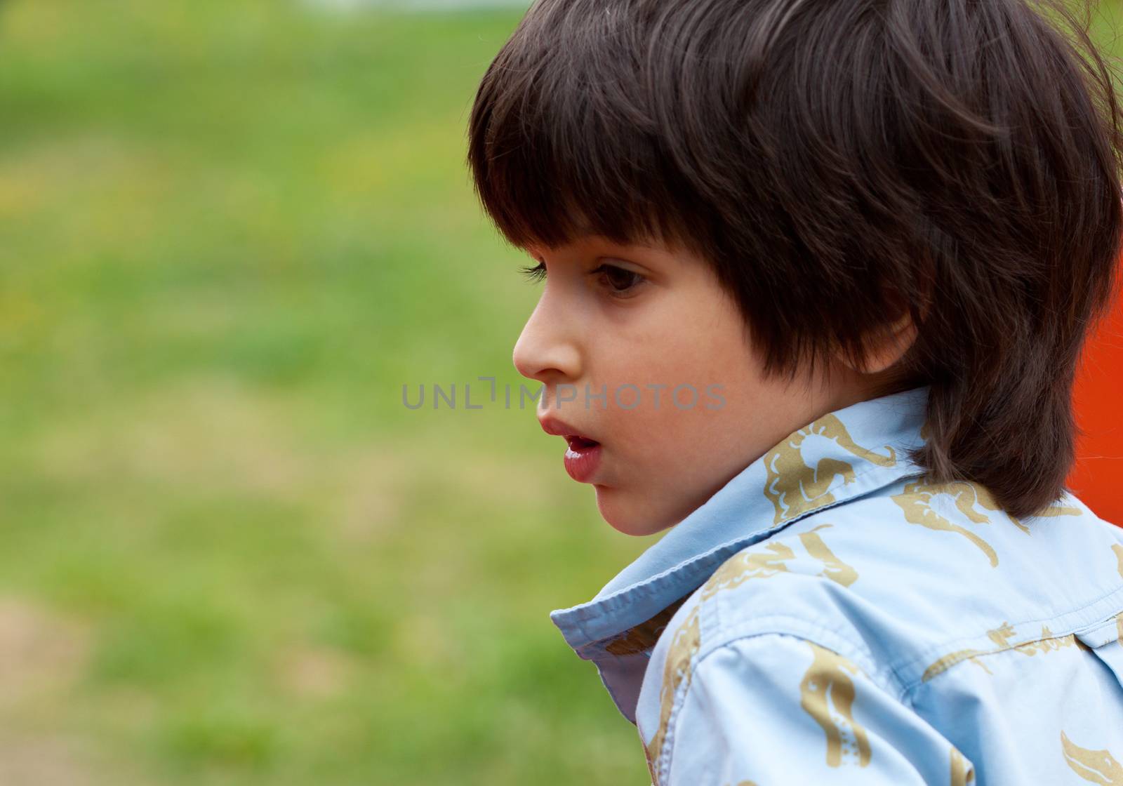 Closeup profile portrait of  little boy