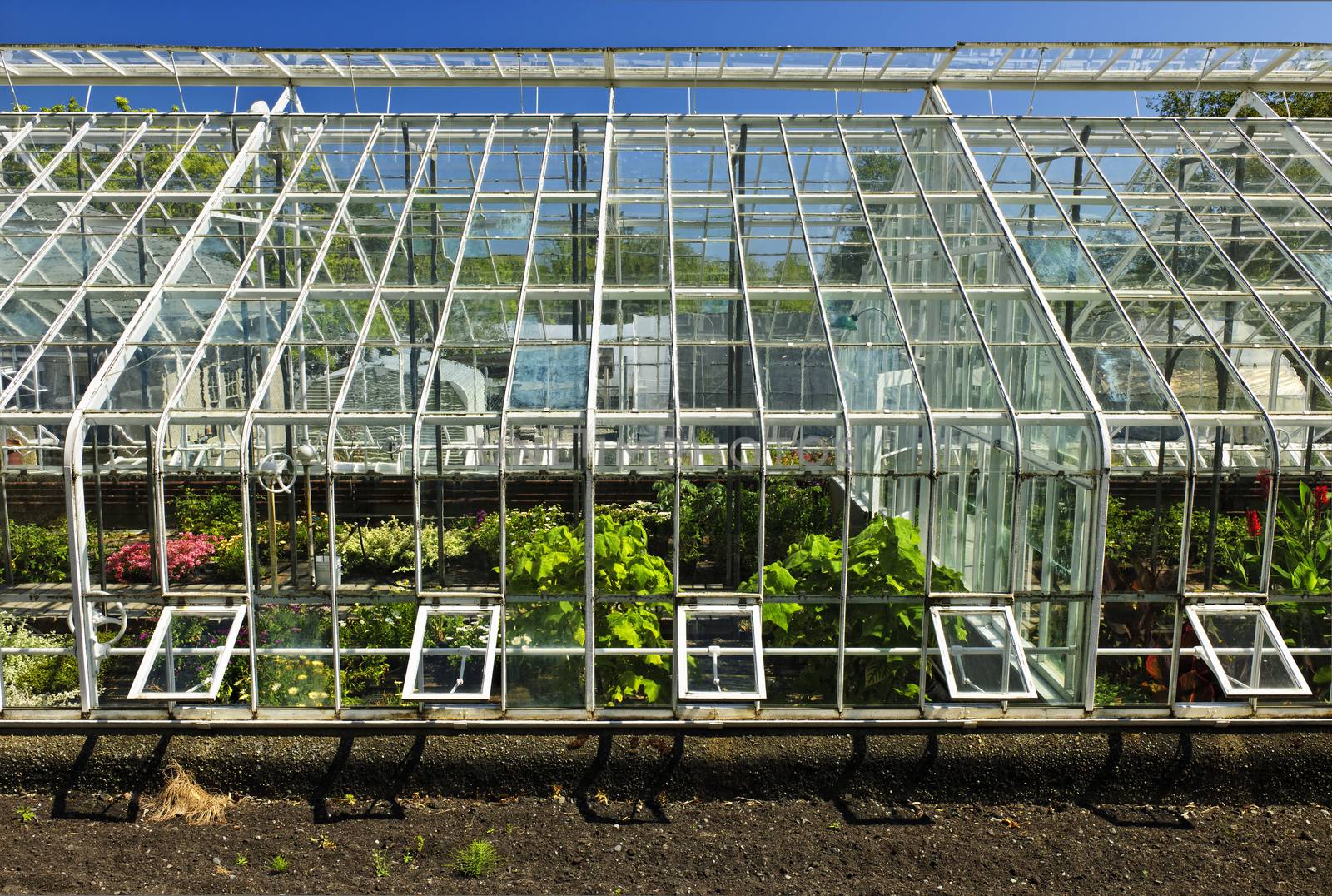 Large glass greenhouse or hothouse building exterior with plants