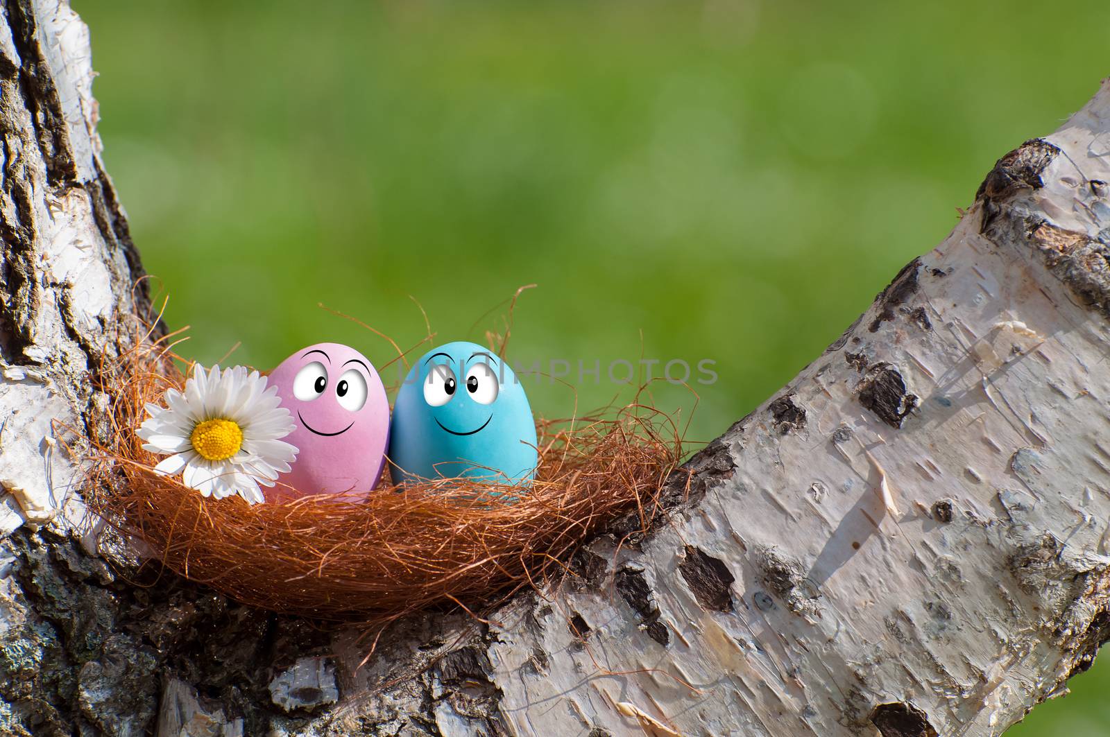 Funny eggs in the nest for Happy Easter by sognolucido