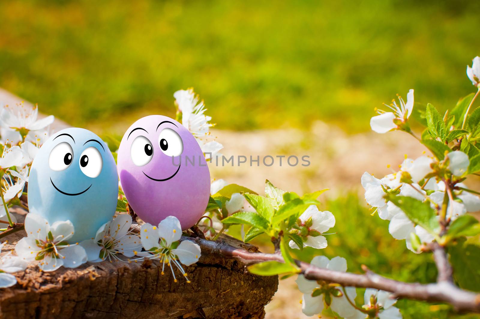 couple of eggs for Happy Easter by sognolucido