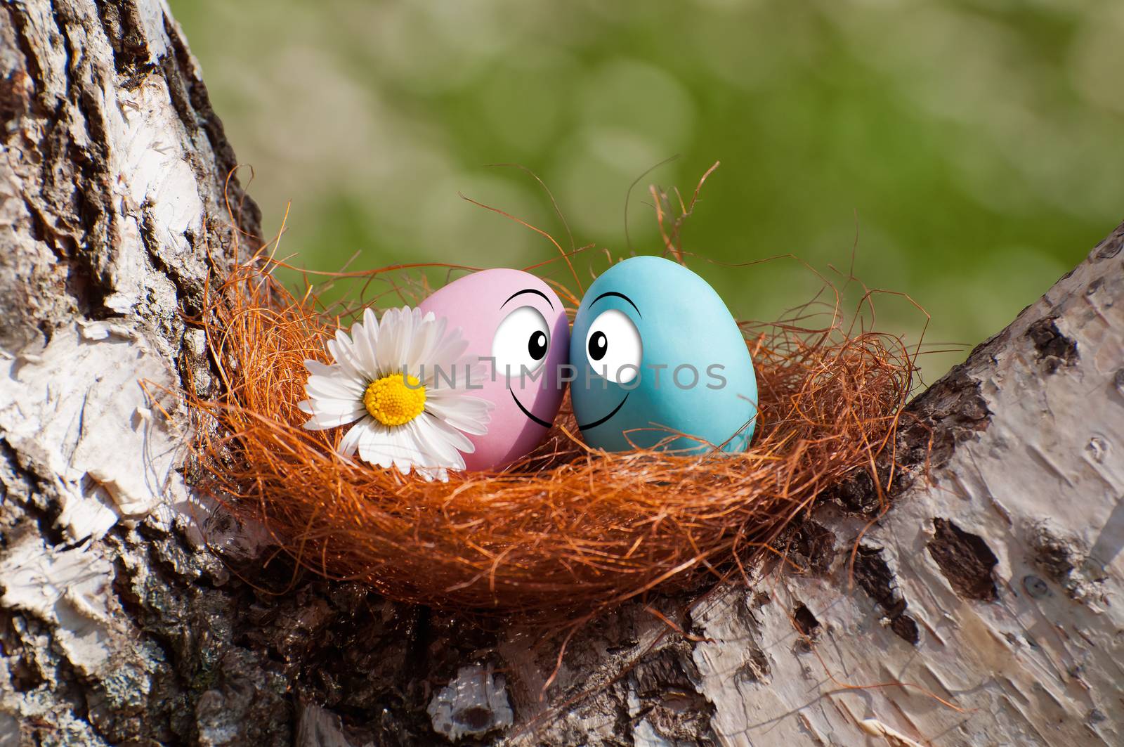 Funny eggs for Happy Easter by sognolucido