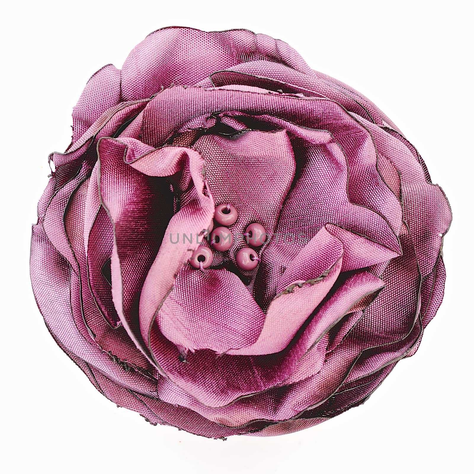 Artificial pink flower of silk isolated on white background