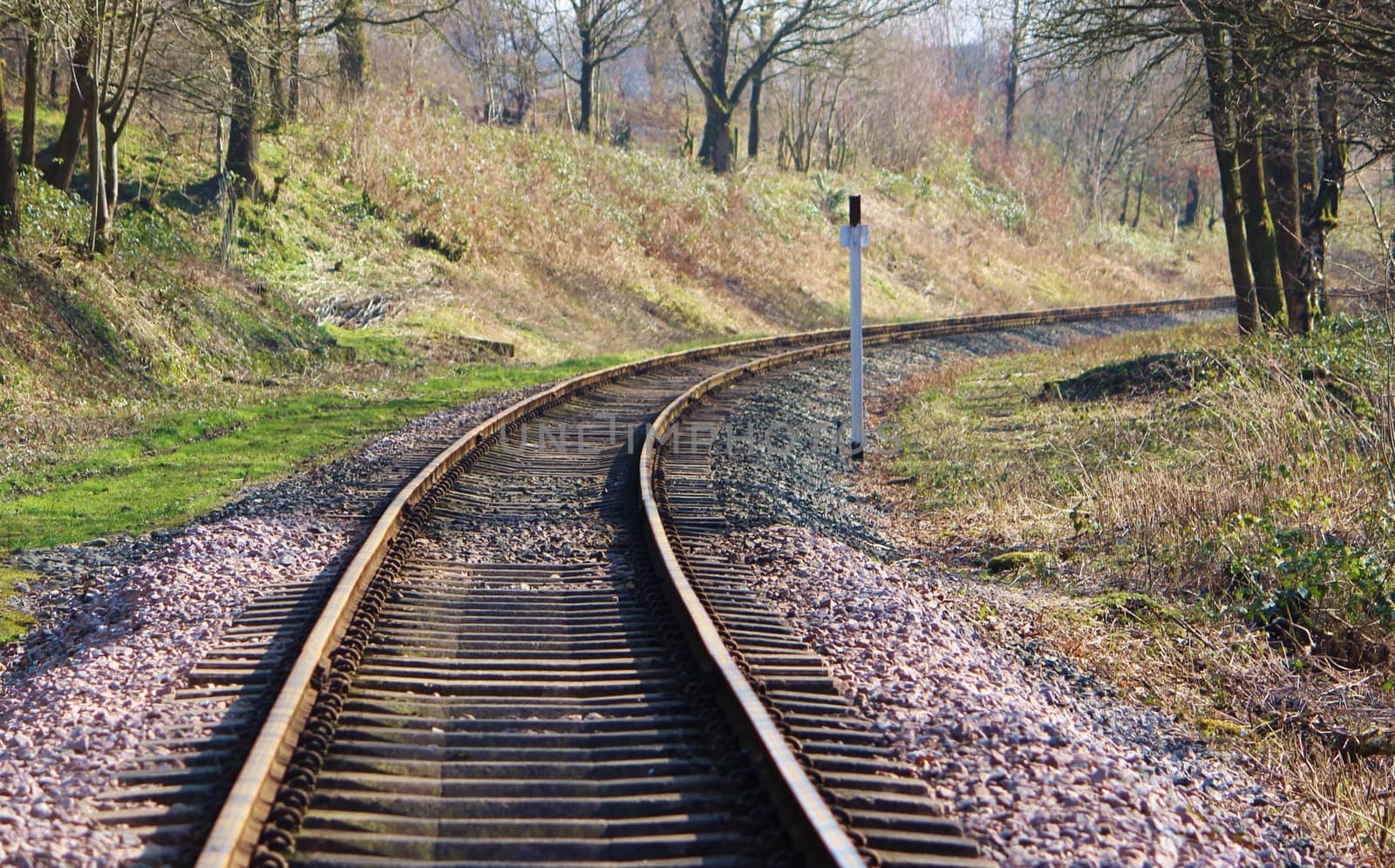 An image of a Railway track in a rural setting.