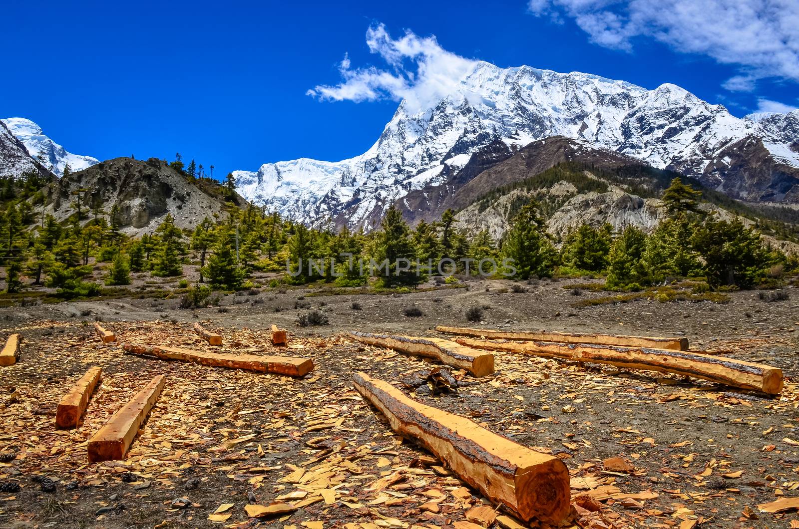 Wood timber in Himalayas mountains landscape, Annapurna area, Nepal