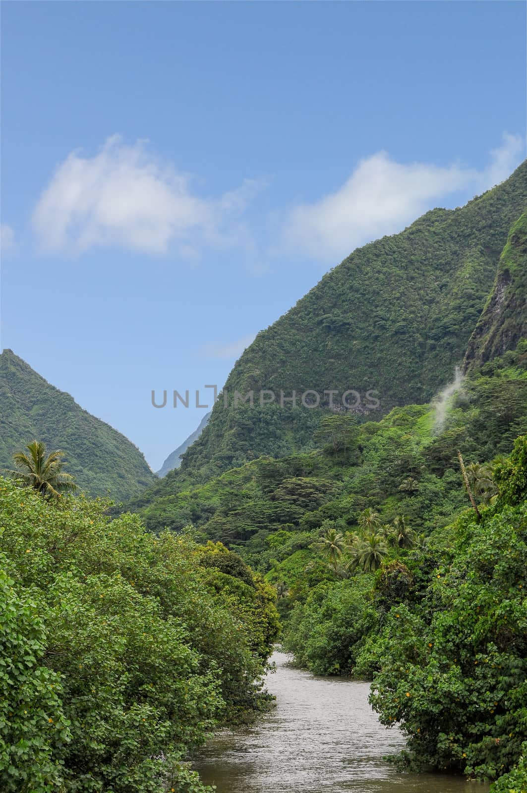 A wide river in the luxuriant island of Tahiti in the French polynesia