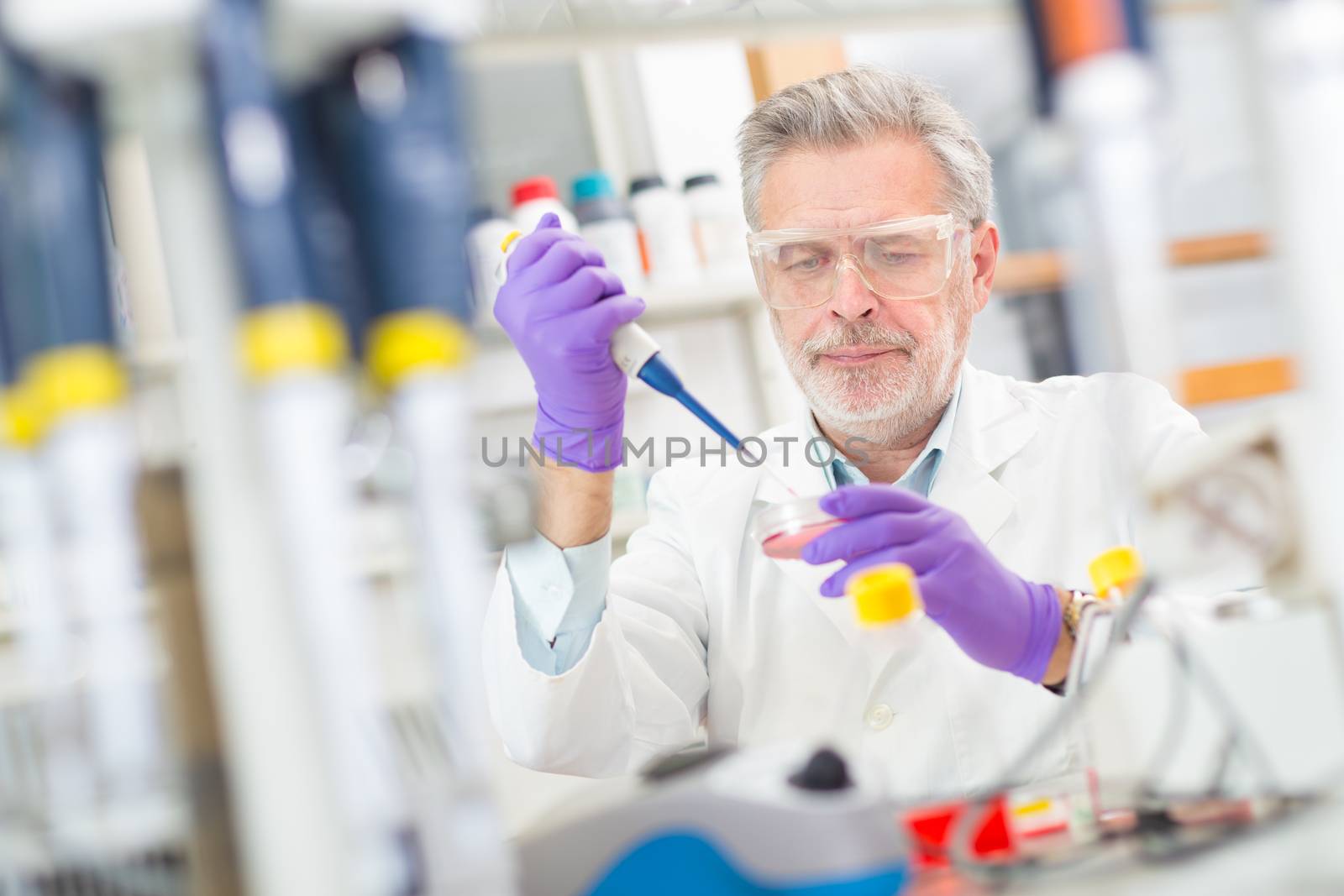 Life scientist researching in laboratory. Life sciences comprise fields of science that involve the scientific study of living organisms: microorganism, plant, animal and human cells, genes, DNA...