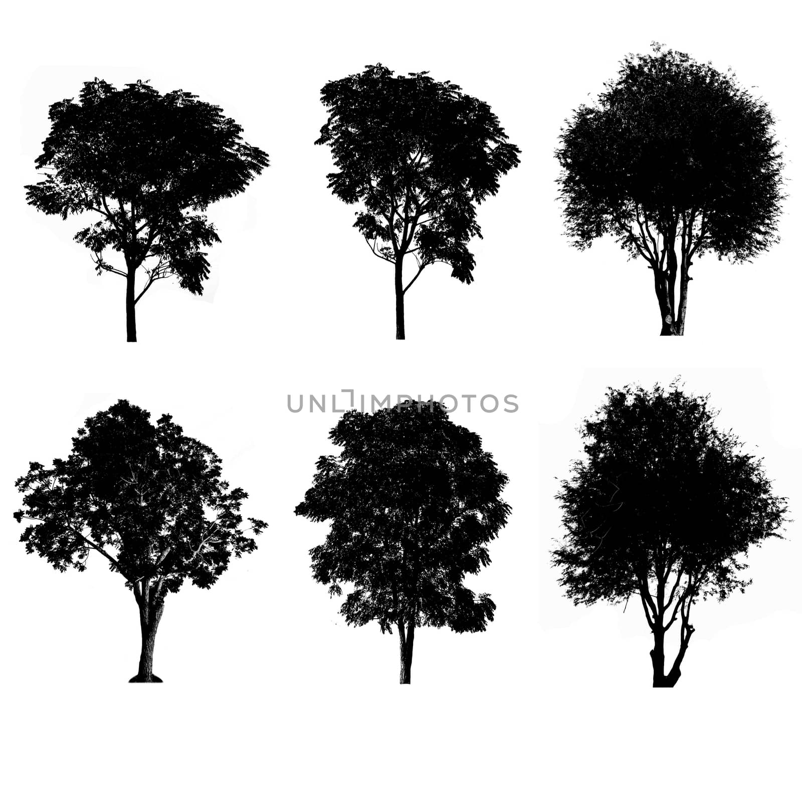 Set of silhouettes of trees by Thanamat
