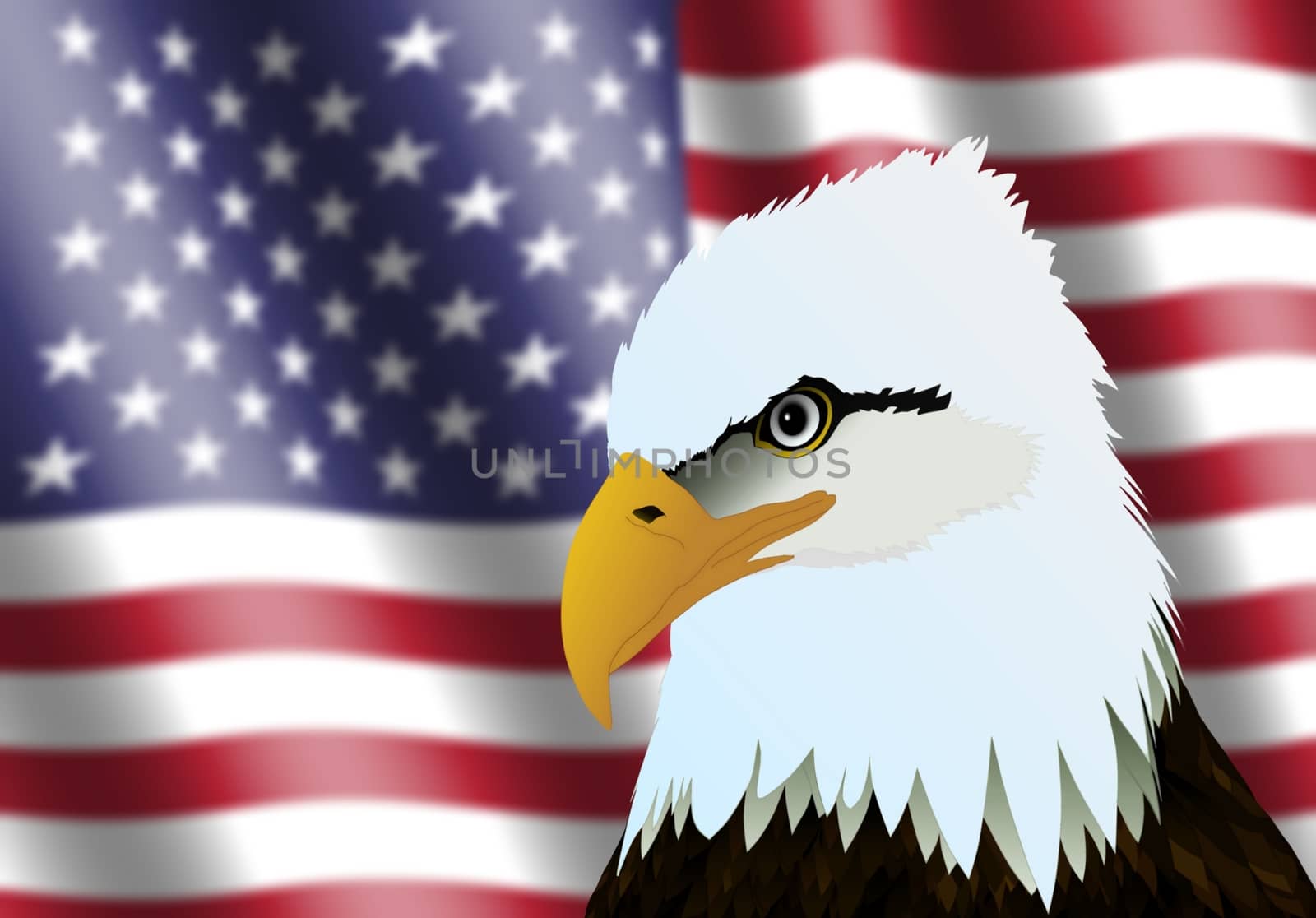 American Flag and Eagle Head