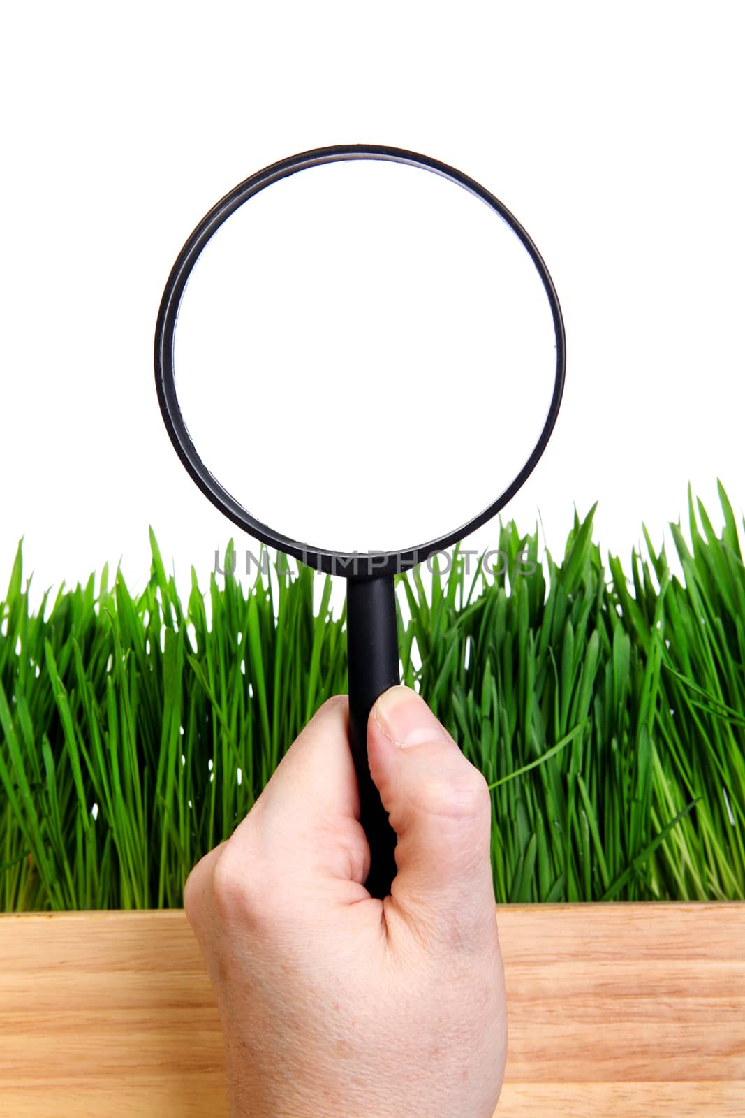 Loupe in a Hand on the Grass Isolated on the White Background