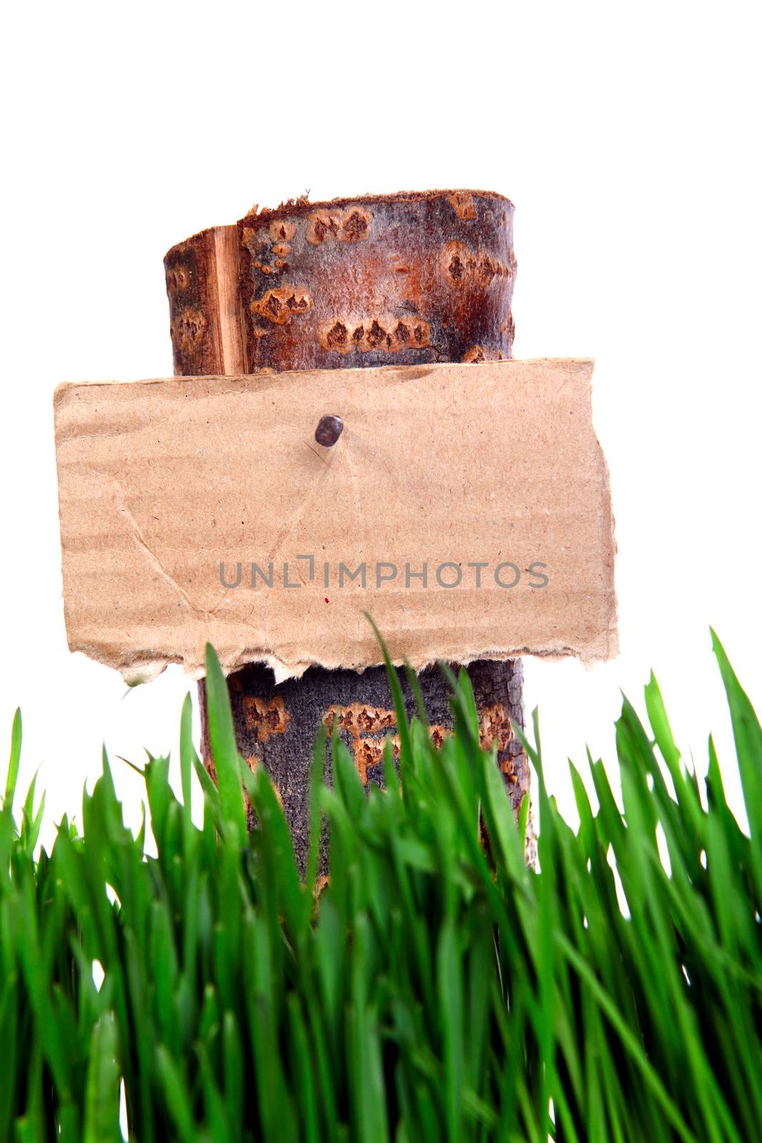 Guide Signboard on the Fresh Grass on the White Background