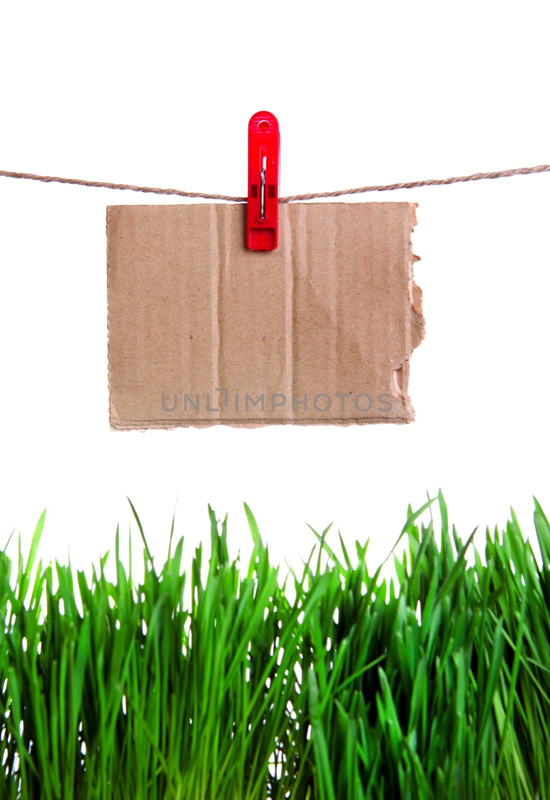 Guide Sign on the String Isolated on the White Background