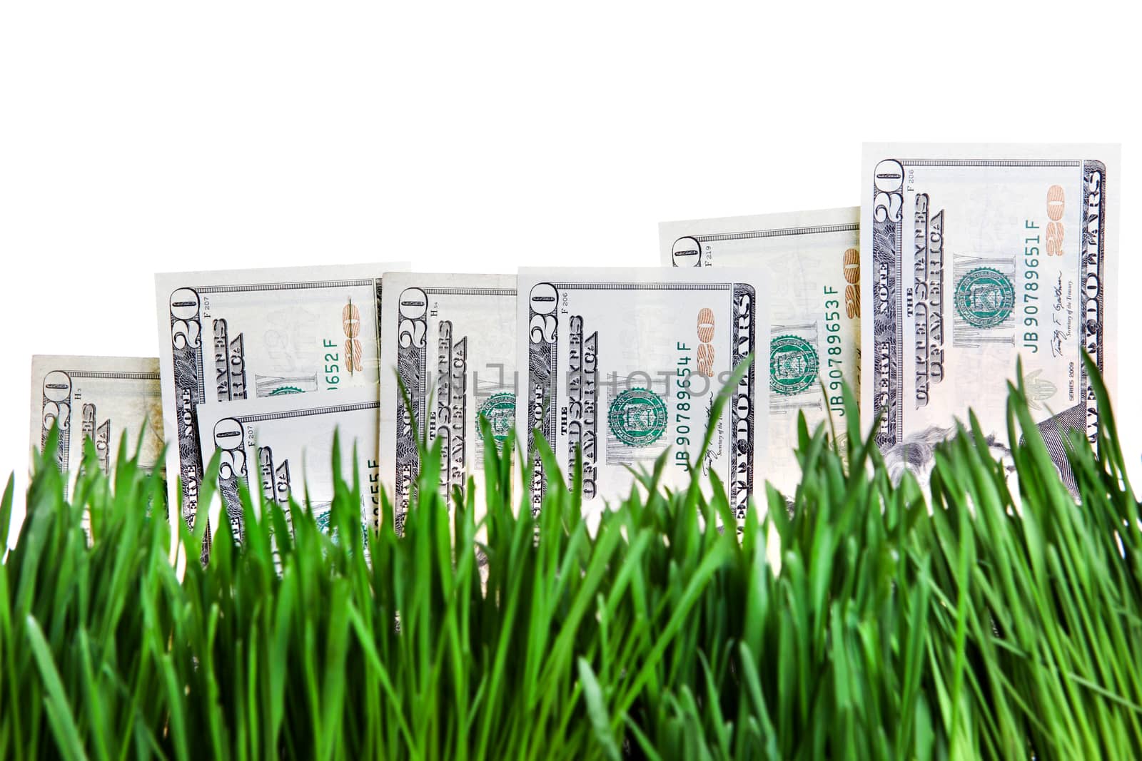 Dollars in the Grass by sabphoto