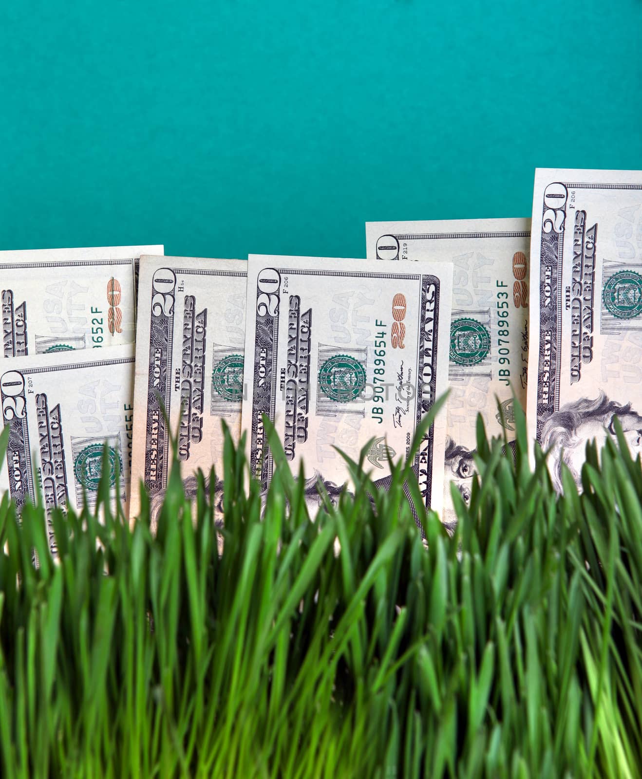 Dollars in the Grass by sabphoto