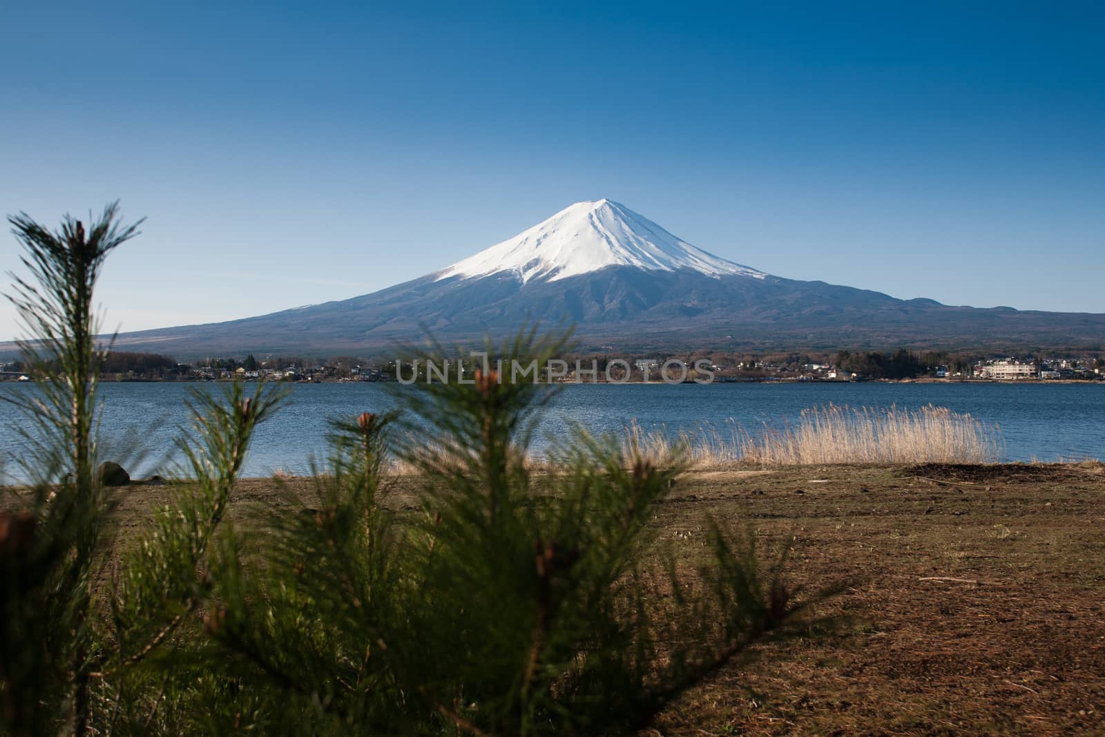 Mt Fuji view from the lake by 2nix