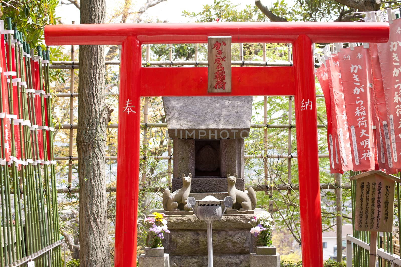 red gate at a shrine in Japan