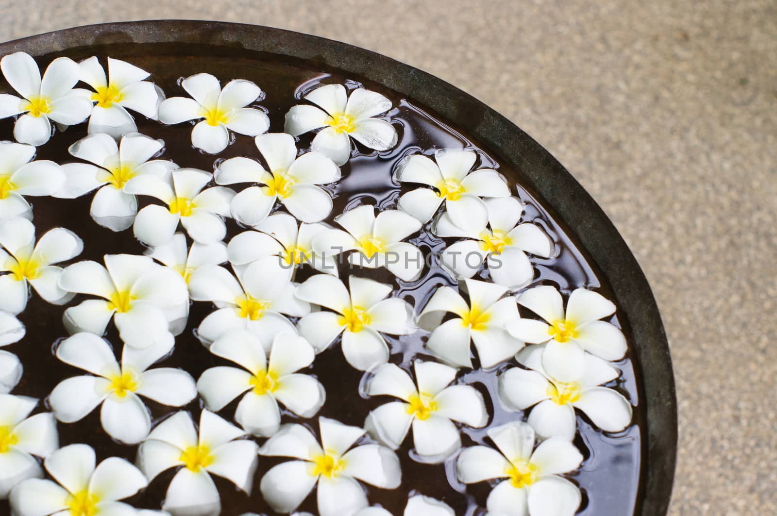 A close up shot of decorative flowers floating on water surface.