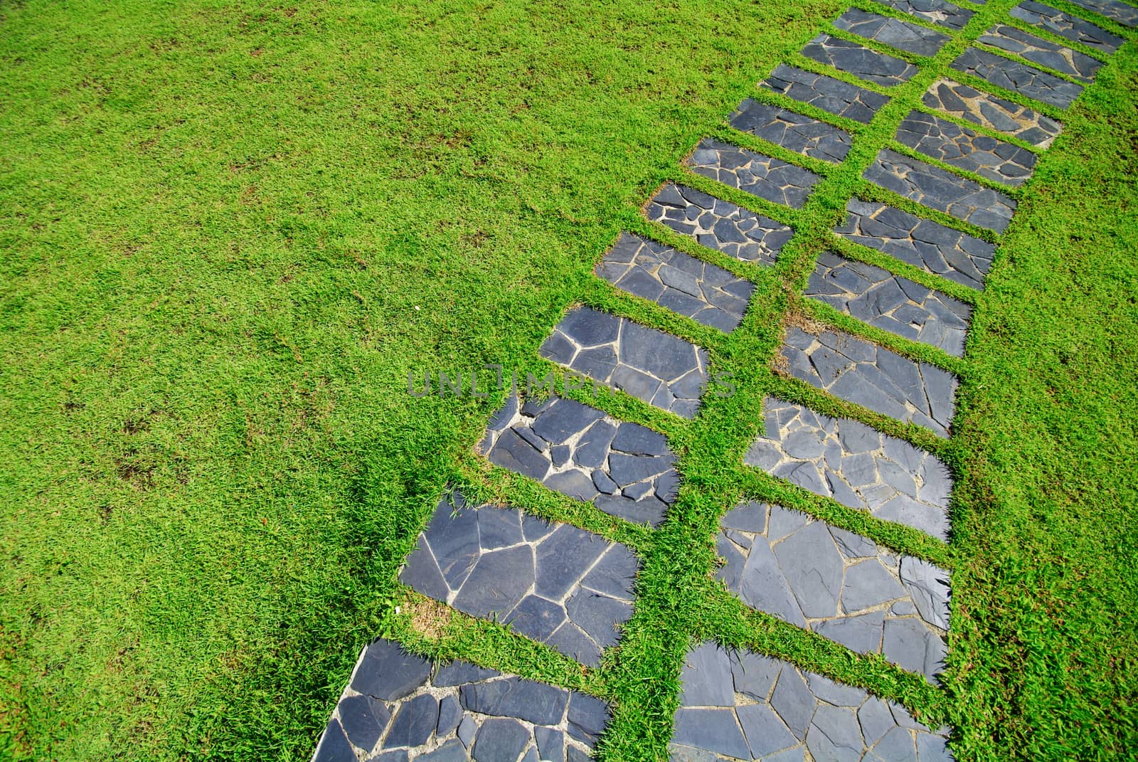 The Stone block walk path in the park with green grass background